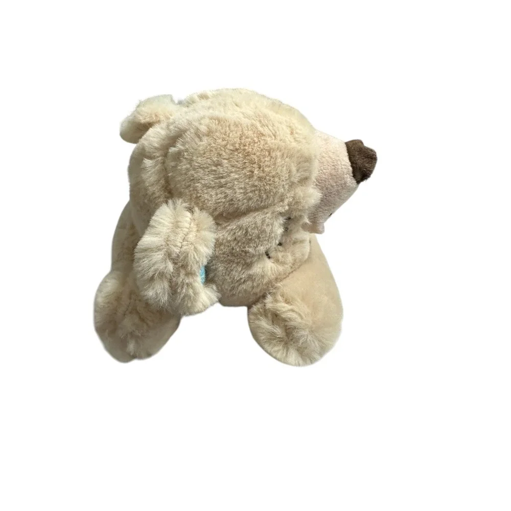 All For Paws Little Buddy Warm Bear Dog Toy Soft Heat Pack Stuffed Plush 15